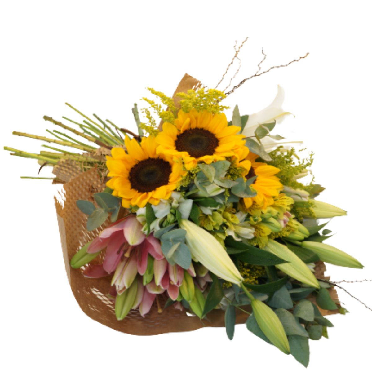 Radiante de sentimentos