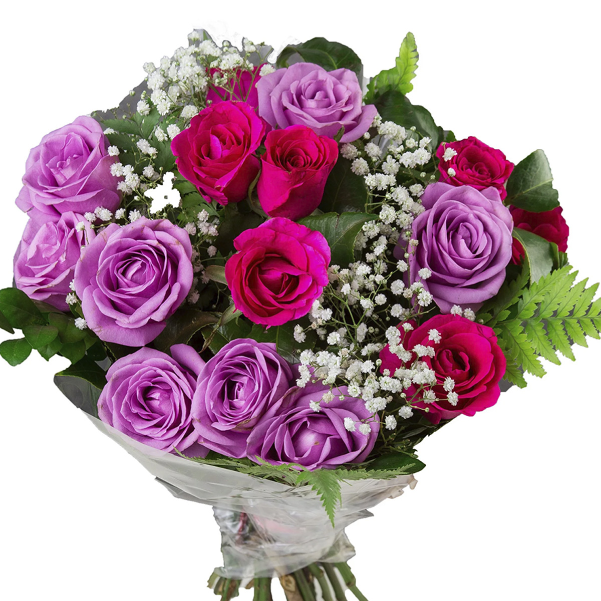 Fantasia Colorida – 15 Rosas